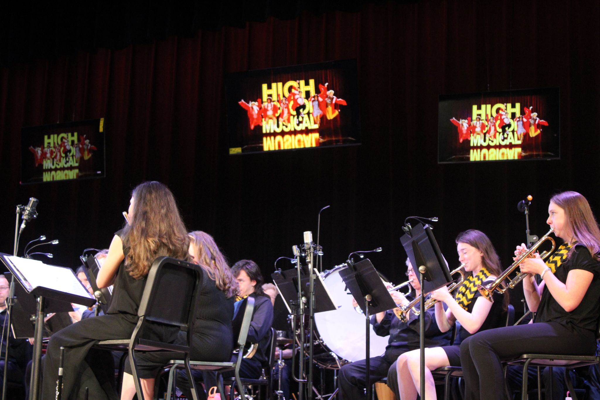 A production photo from the Fenwick Band's 2025 Spring Concert. For more details, contact Dave