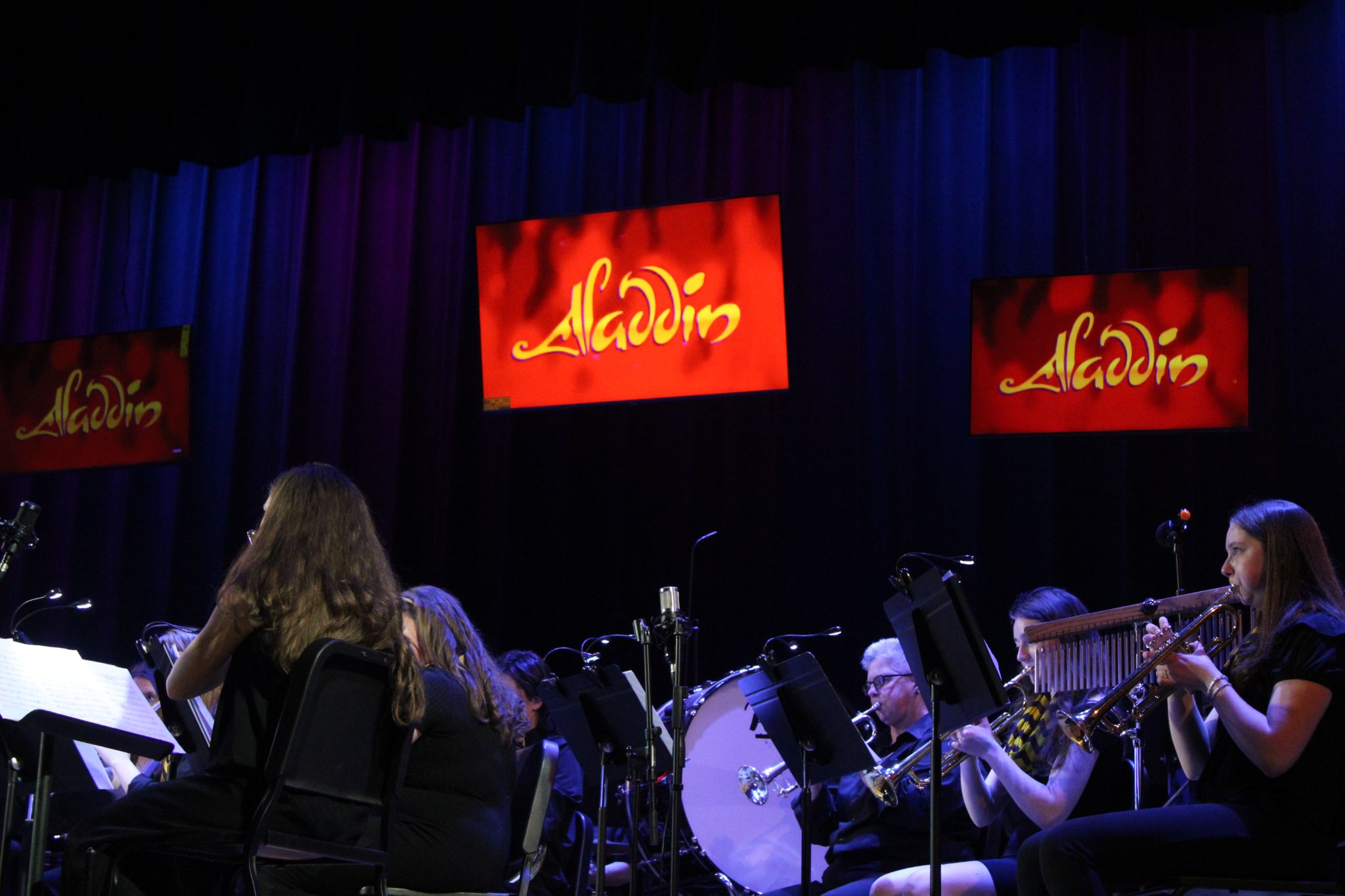 A production photo from the Fenwick Band's 2025 Spring Concert. For more details, contact Dave